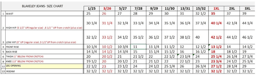 Blakeley Romi Medium Wash Jeans - Size 1, 9 and 13 available - Cowhide and Conchos