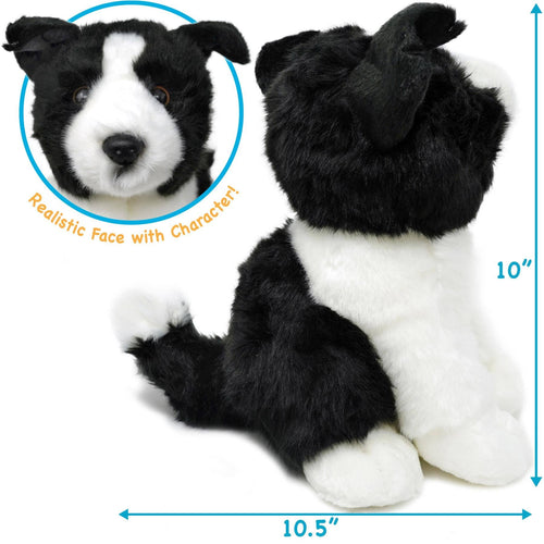 Borna the Border Collie | 11 Inch Stuffed Animal Plush - Cowhide and Conchos