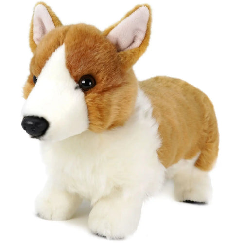 Carlotta the Corgi - Cowhide and Conchos