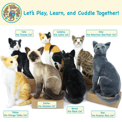 Catalina The Calico Cat | 14 Inch Stuffed Animal Plush - Cowhide and Conchos