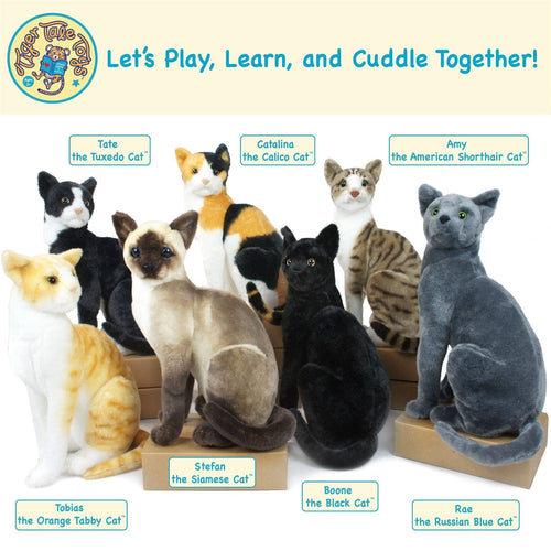 Catalina The Calico Cat | 14 Inch Stuffed Animal Plush - Cowhide and Conchos