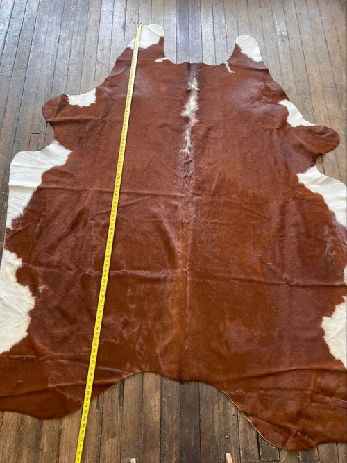 Cowhide Rug - 8' by 6' - Cowhide and Conchos