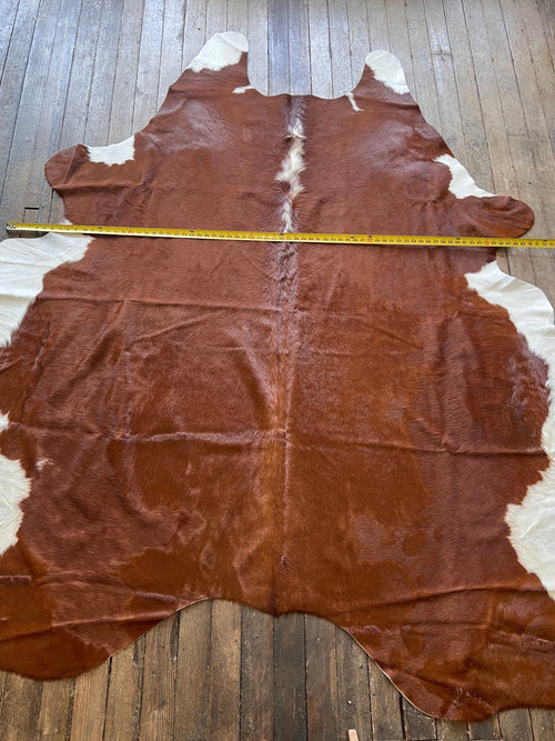 Cowhide Rug - 8' by 6' - Cowhide and Conchos