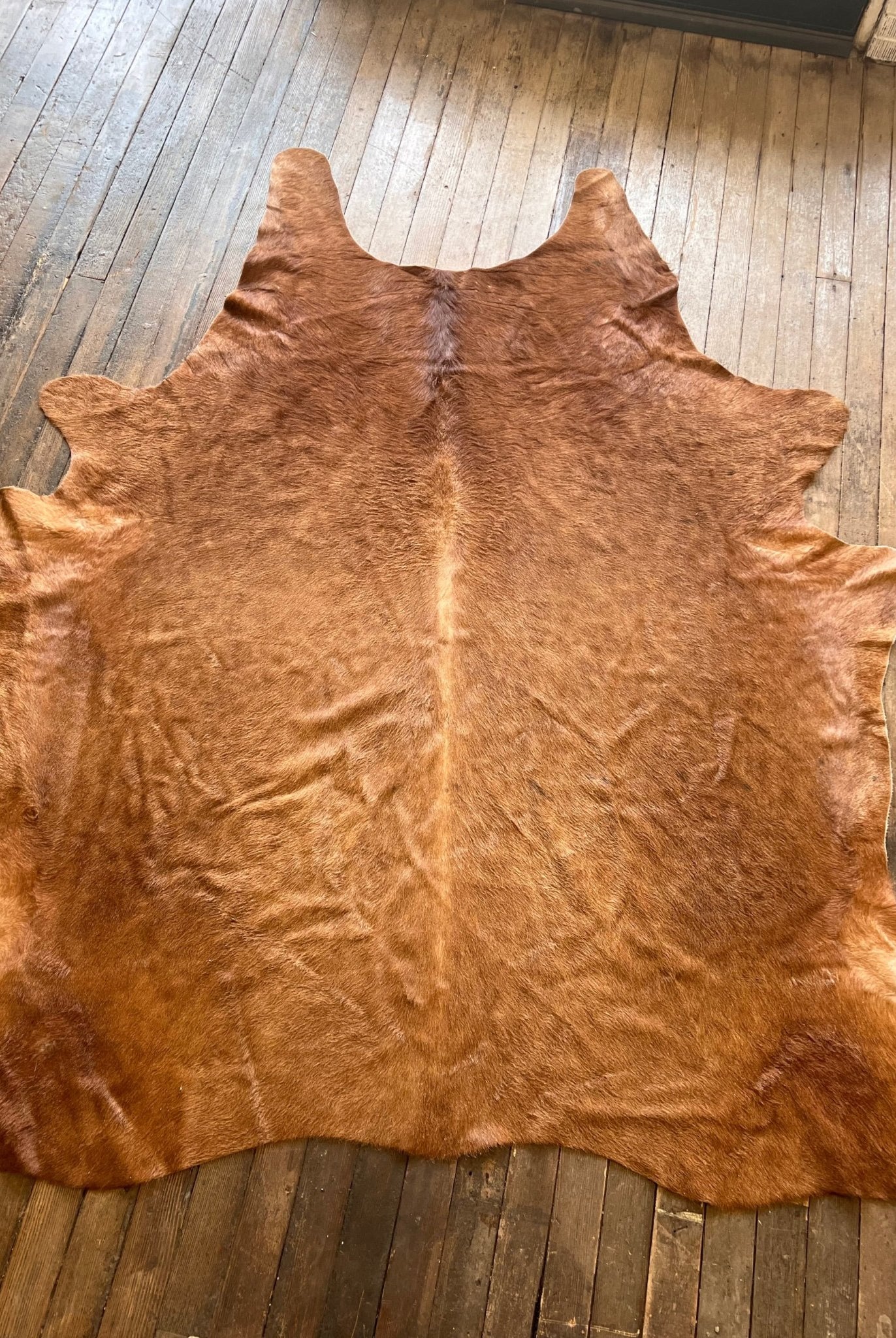 Cowhide Rug - 8' X 6' - Cowhide and Conchos