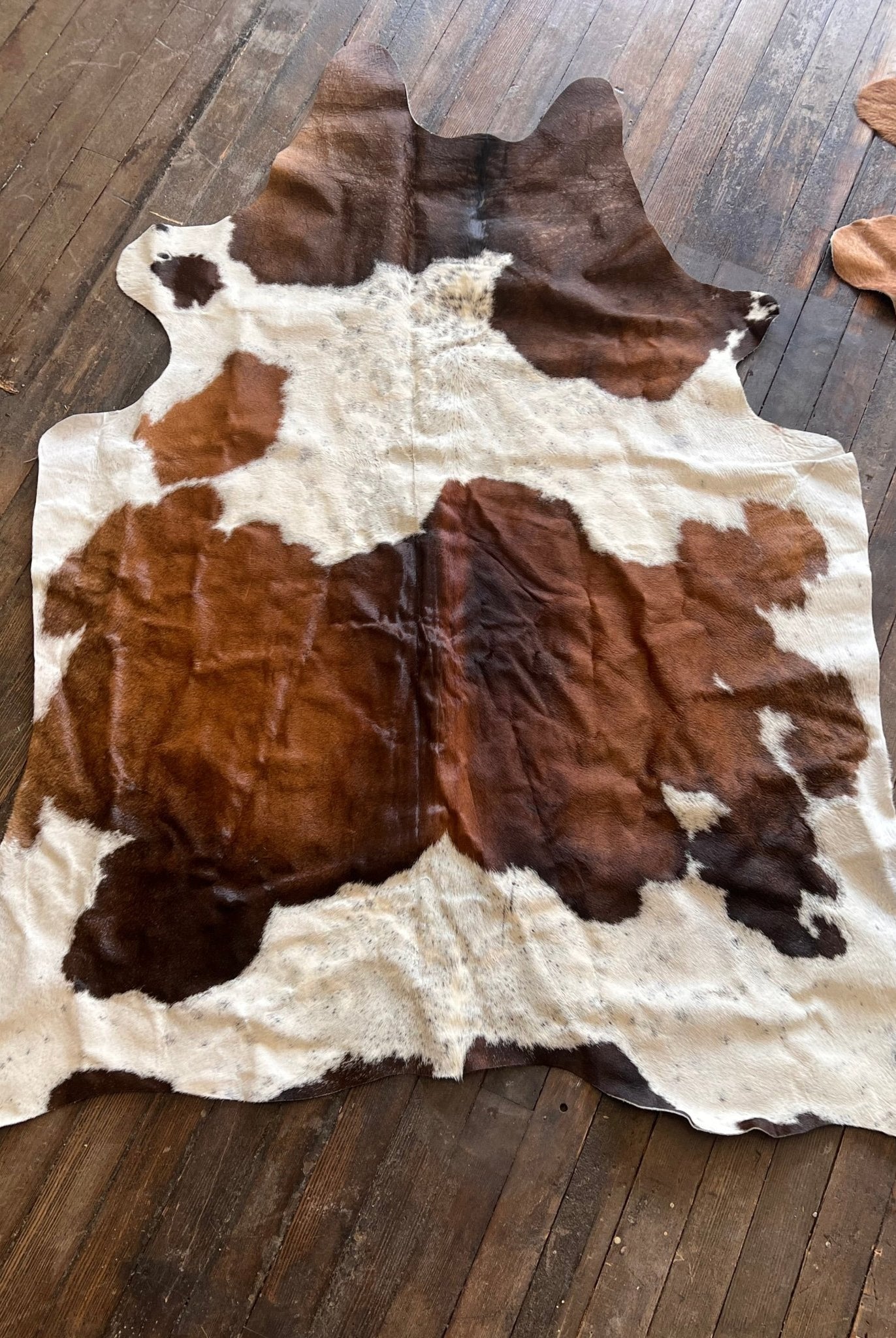 Cowhide Rug1 - 6.5 ft by 4.5 ft. - Cowhide and Conchos