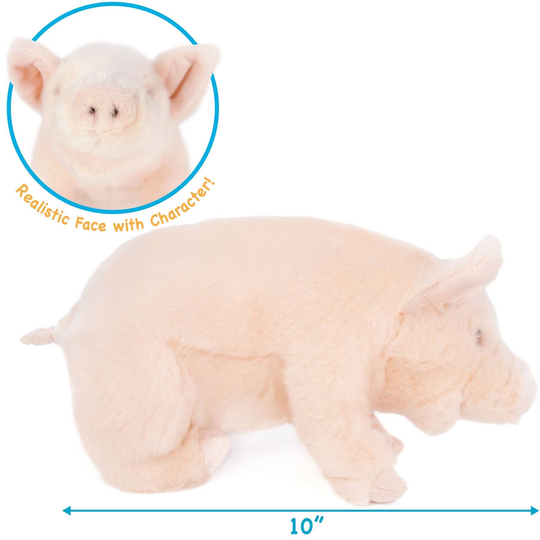 Perla The Pig | 11 Inch Stuffed Animal Plush - Cowhide and Conchos