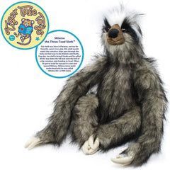 Shlomo The Three - Toed Sloth - Cowhide and Conchos
