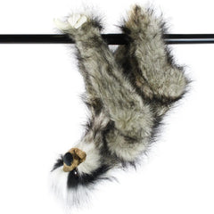 Shlomo The Three - Toed Sloth - Cowhide and Conchos