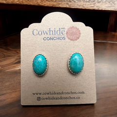 Genuine Thunder Creek Turquoise Post Earrings