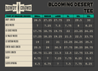 Blooming Desert Tee - Cowhide and Conchos
