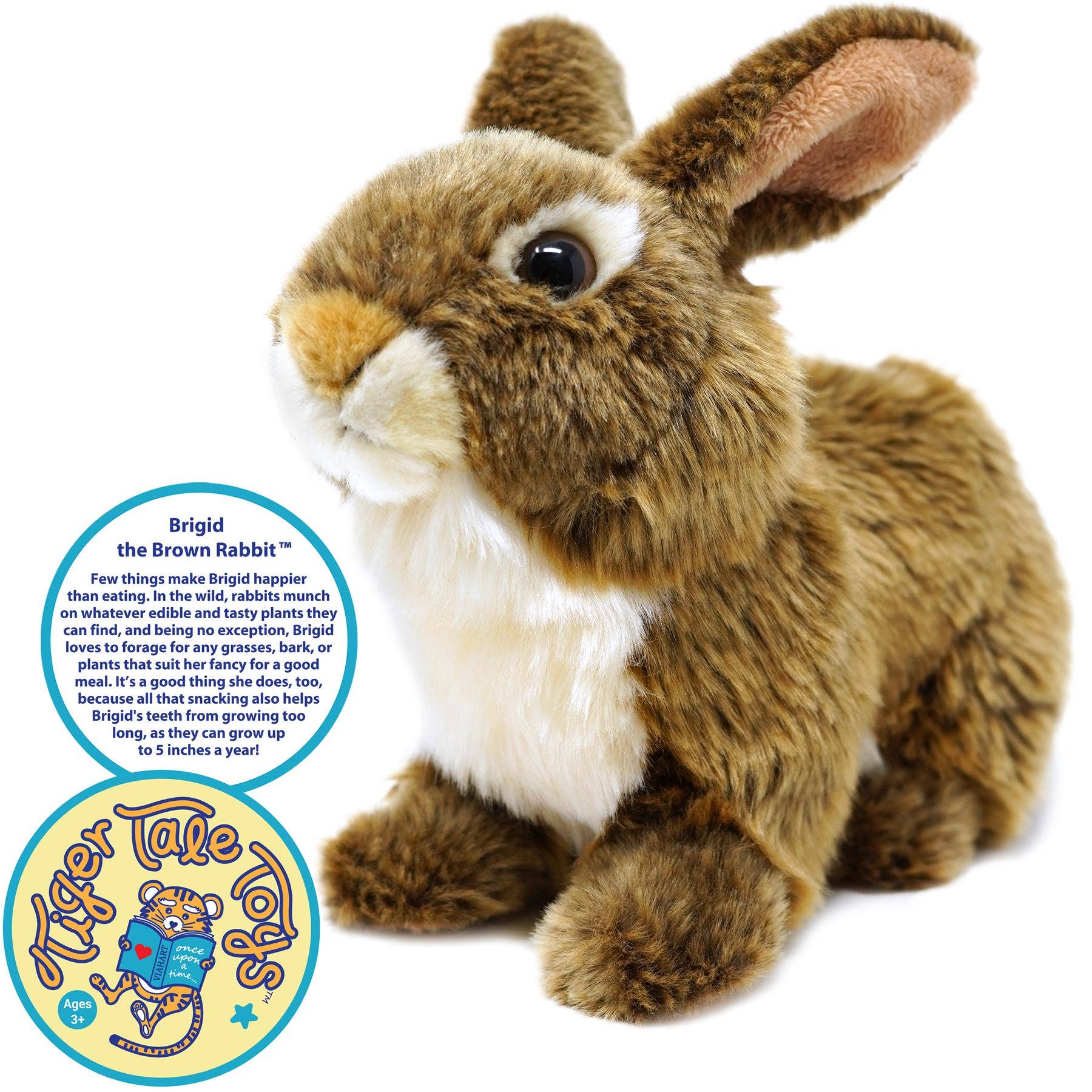Brigid the Brown Rabbit | 10 Inch Stuffed Animal Plush - Cowhide and Conchos