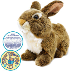 Brigid the Brown Rabbit | 10 Inch Stuffed Animal Plush - Cowhide and Conchos
