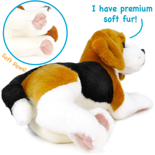 Burkham The Beagle | 14 Inch Stuffed Animal Plush - Cowhide and Conchos
