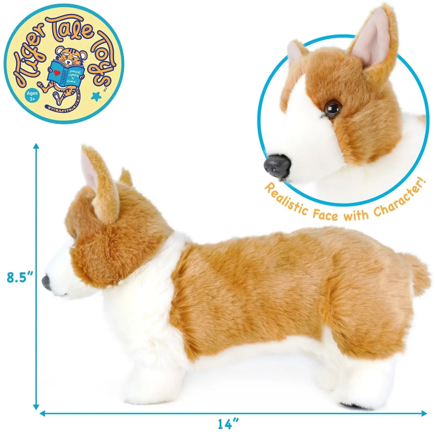 Carlotta the Corgi - Cowhide and Conchos