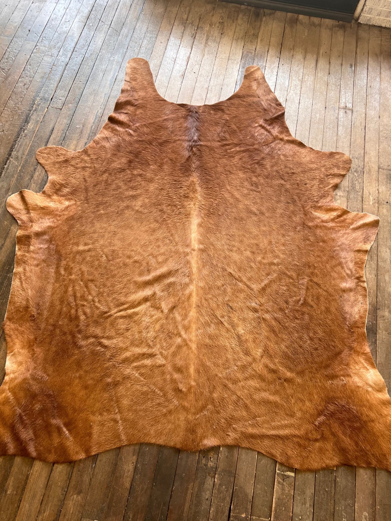 Cowhide Rug - 8' X 6' - Cowhide and Conchos