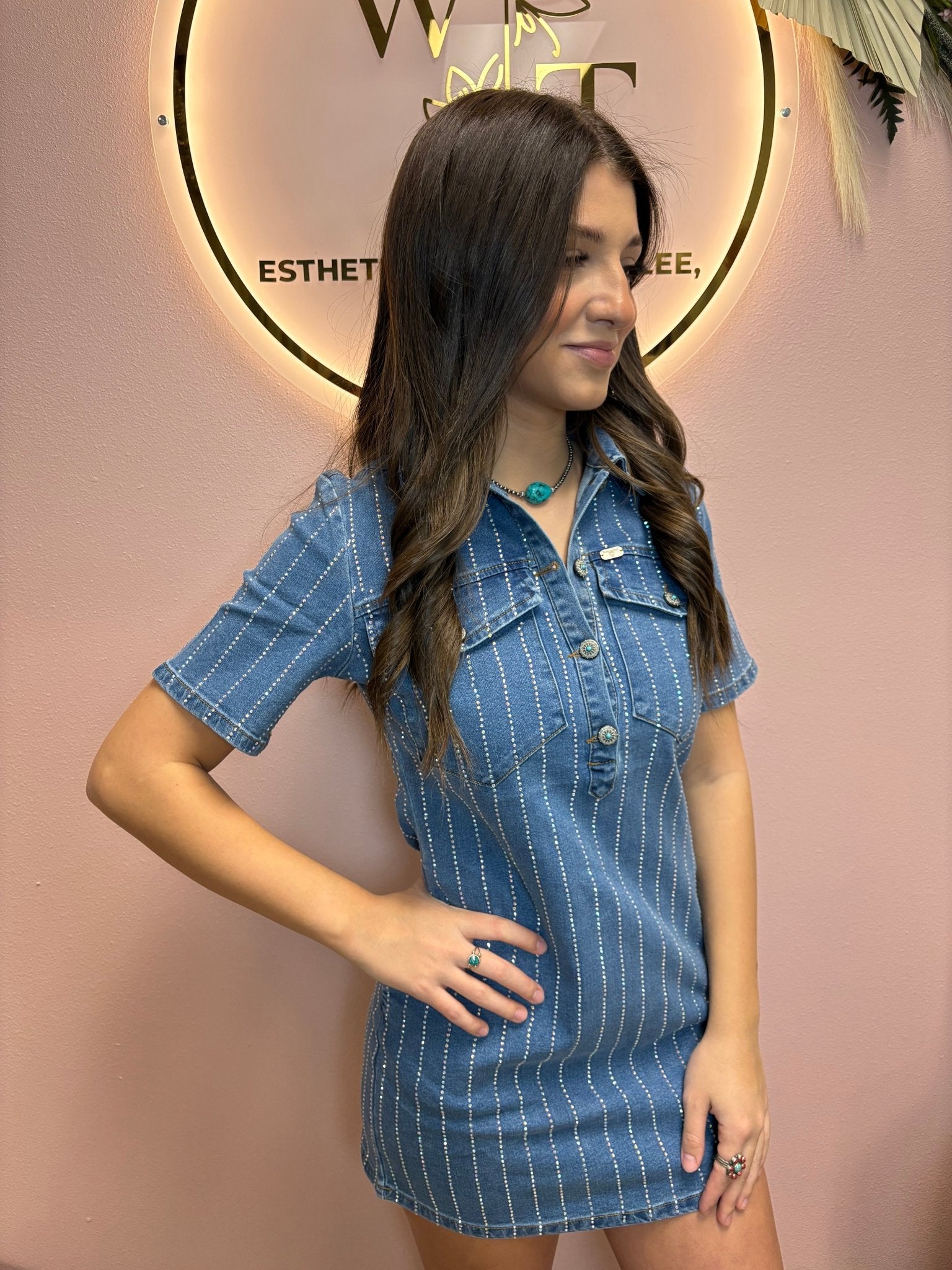 Denim Rhinestone Striped Detailed Collared Dress - Cowhide and Conchos