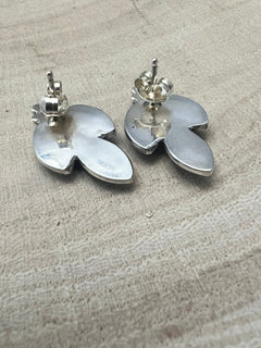 Fernando Othole Turquoise Post Earrings - Cowhide and Conchos