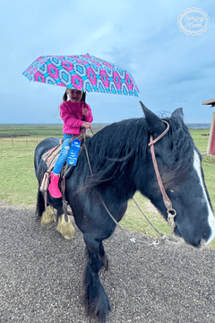 Montezuma Umbrella - Cowhide and Conchos