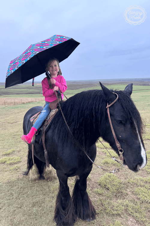 Montezuma Umbrella - Cowhide and Conchos