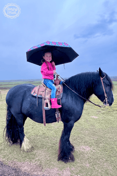 Montezuma Umbrella - Cowhide and Conchos