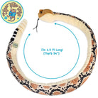 Rambo The Rattlesnake 4.5 FT - Cowhide and Conchos