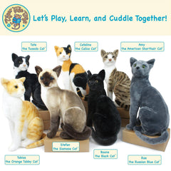 Stefan The Siamese Cat | 13 Inch Stuffed Animal Plush - Cowhide and Conchos