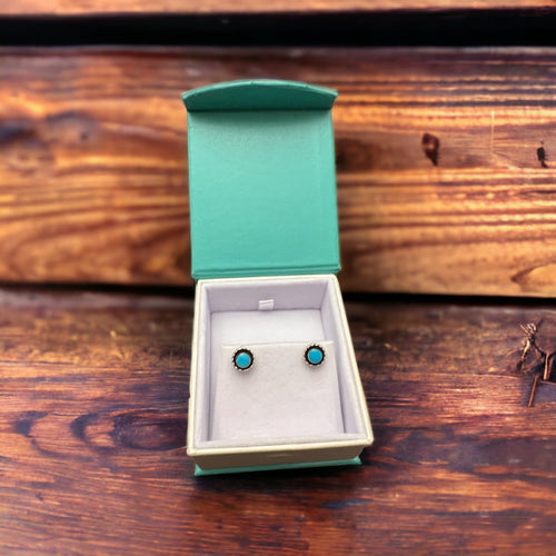 Turquoise Earrings by Carina Leekity - Small but not petite - Cowhide and Conchos